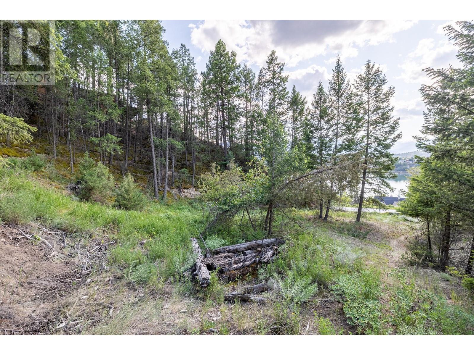 Photo 2 of Lot 46 Upper Lakeview Road, Invermere BC