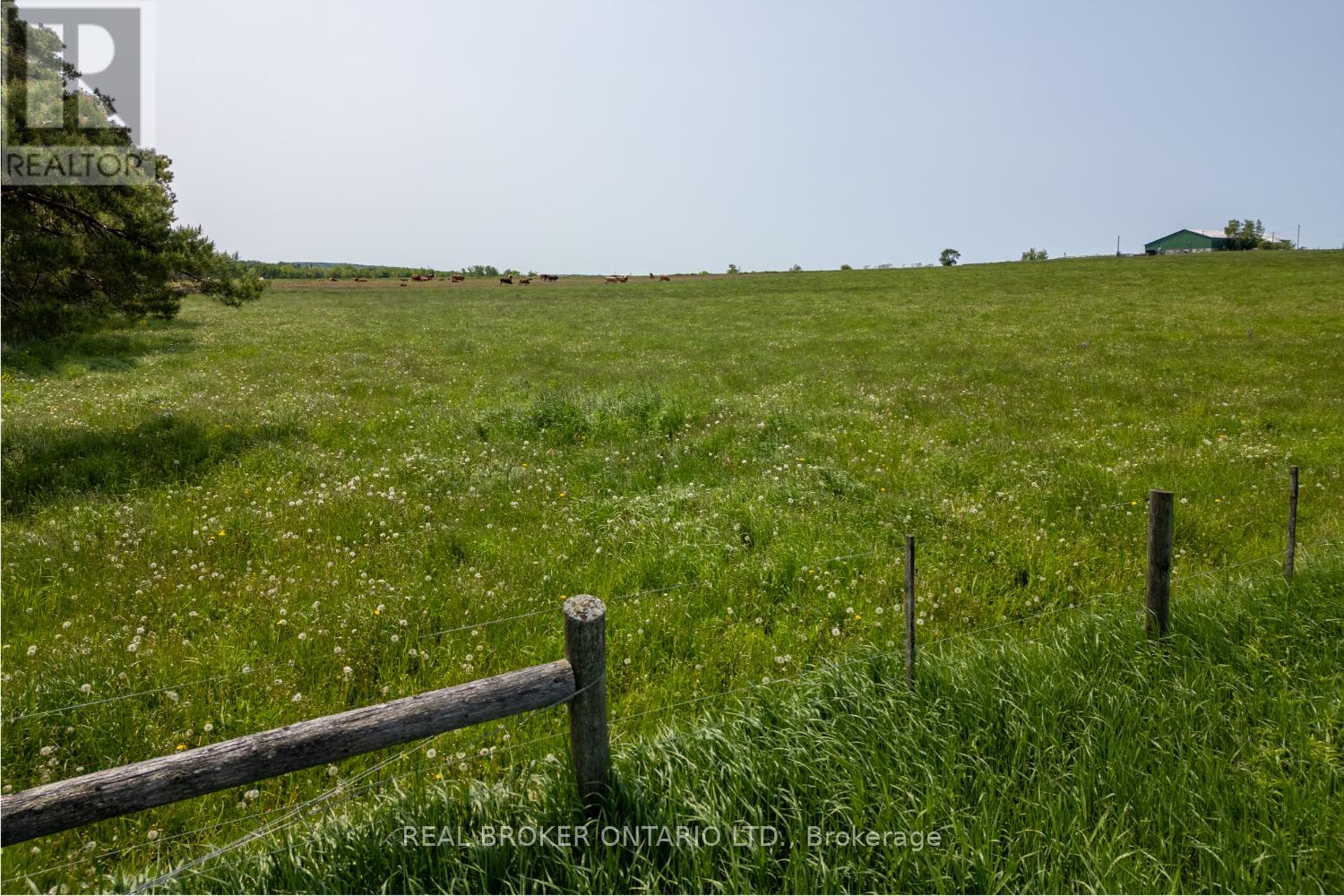 Photo 13 of Pt Lt 22 Con 3 Cavan Pt 1, Cavan Monaghan ON