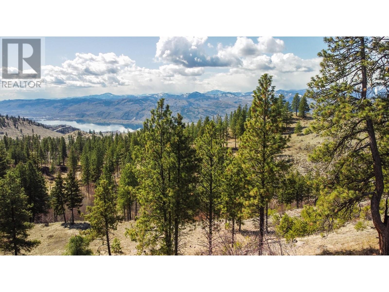250 Longjoe Road, Osoyoos