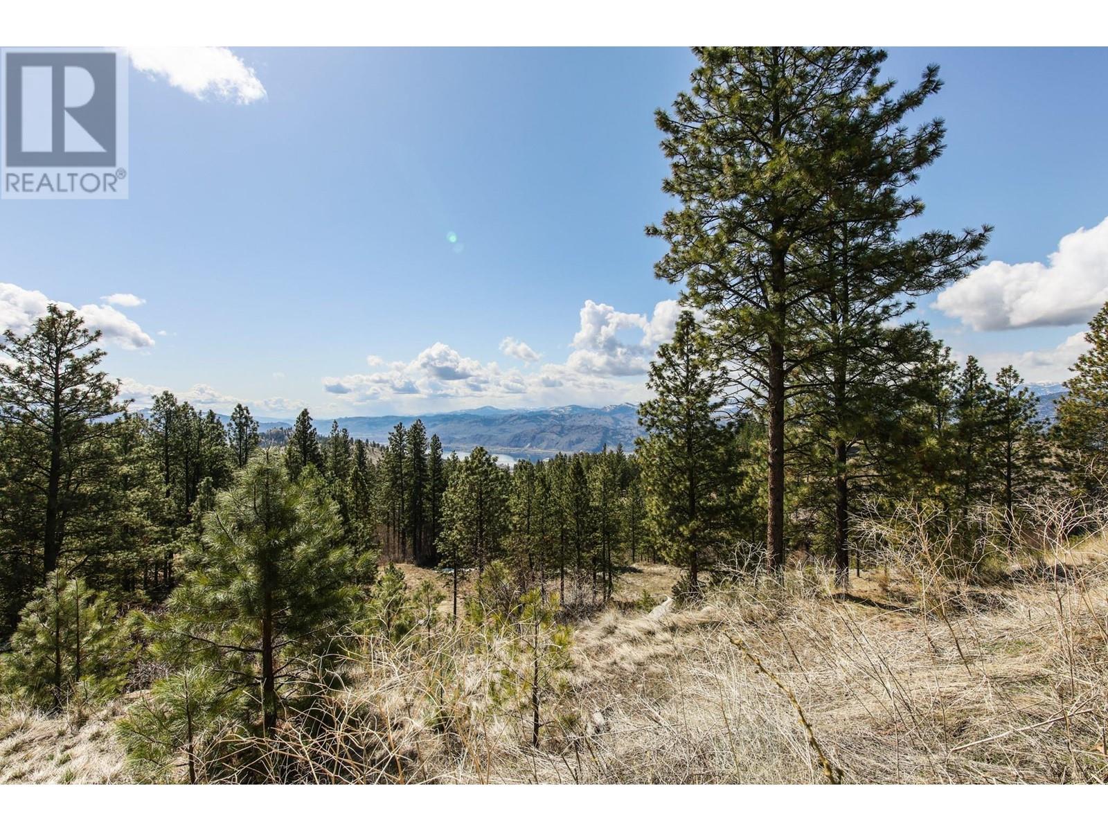 250 Longjoe Road, Osoyoos