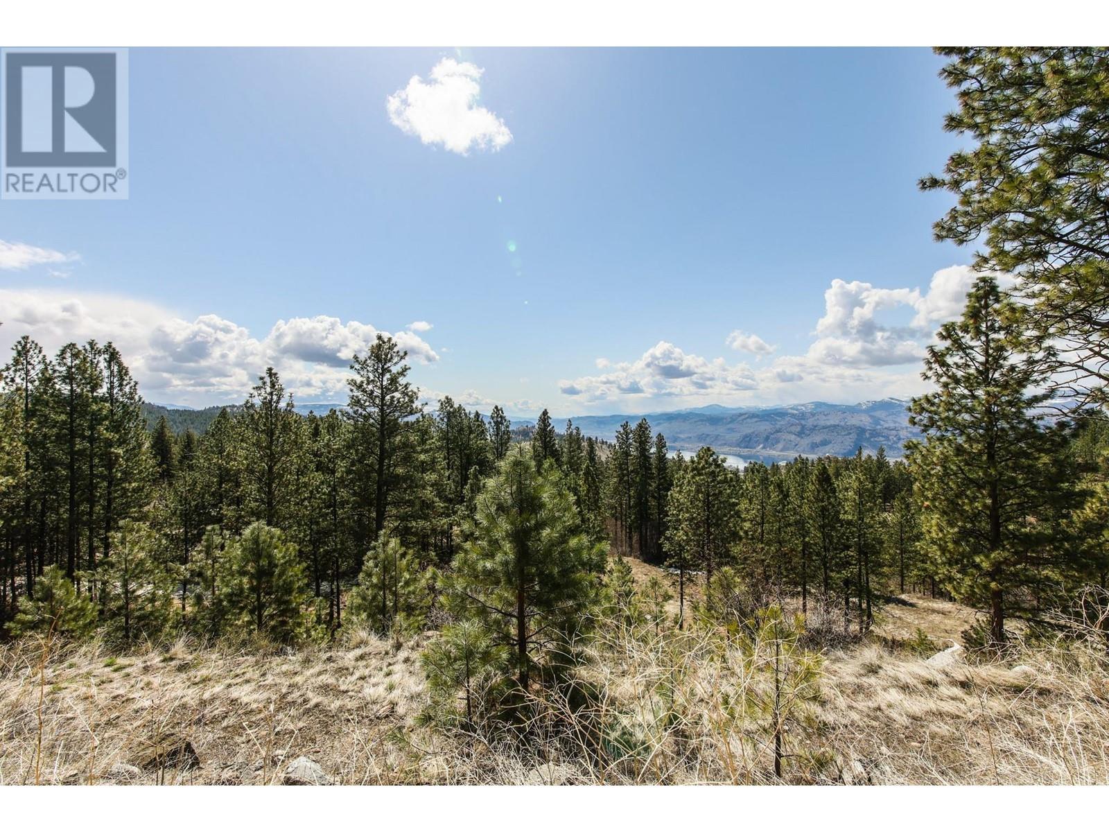 250 Longjoe Road, Osoyoos