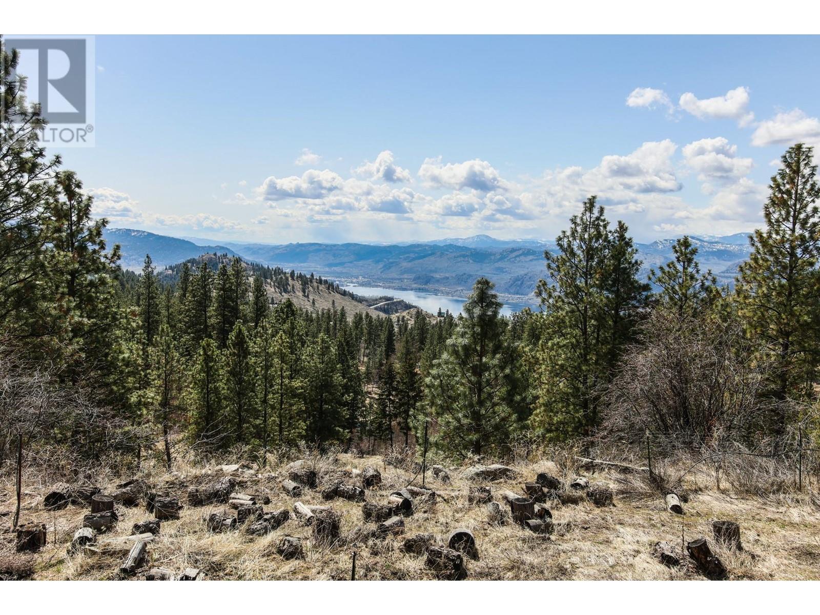 250 Longjoe Road, Osoyoos