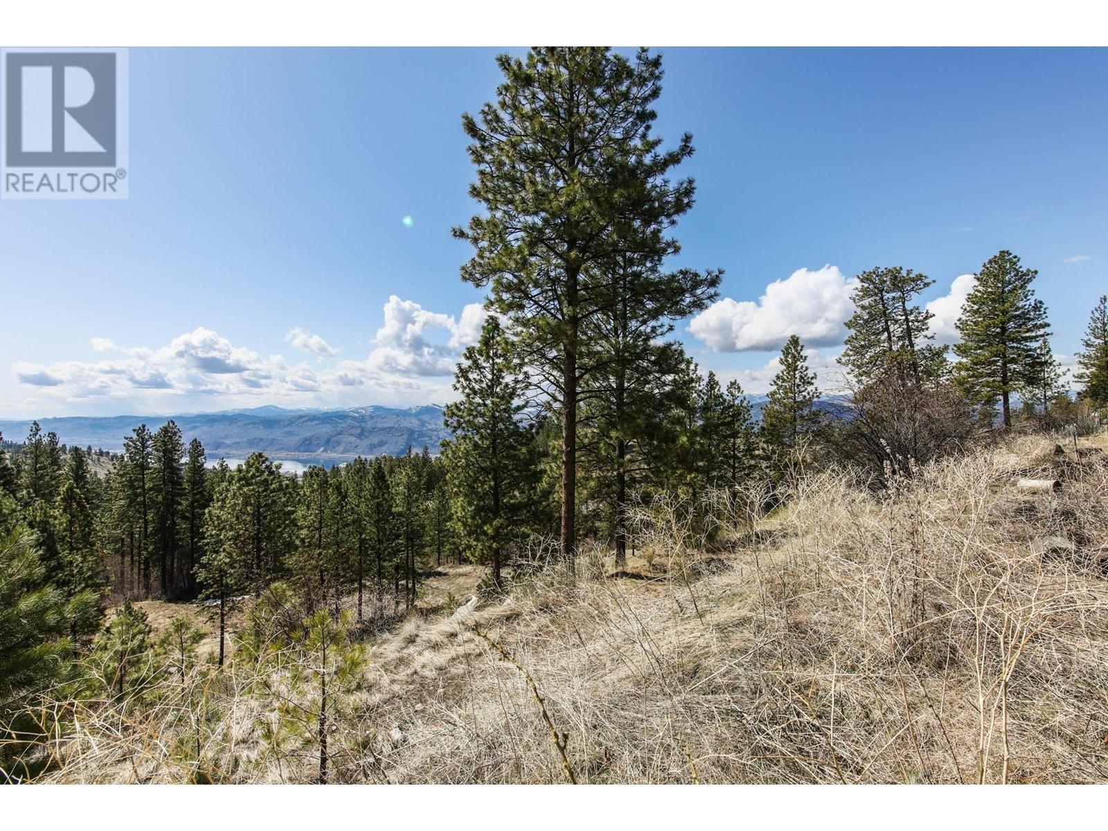 250 Longjoe Road, Osoyoos