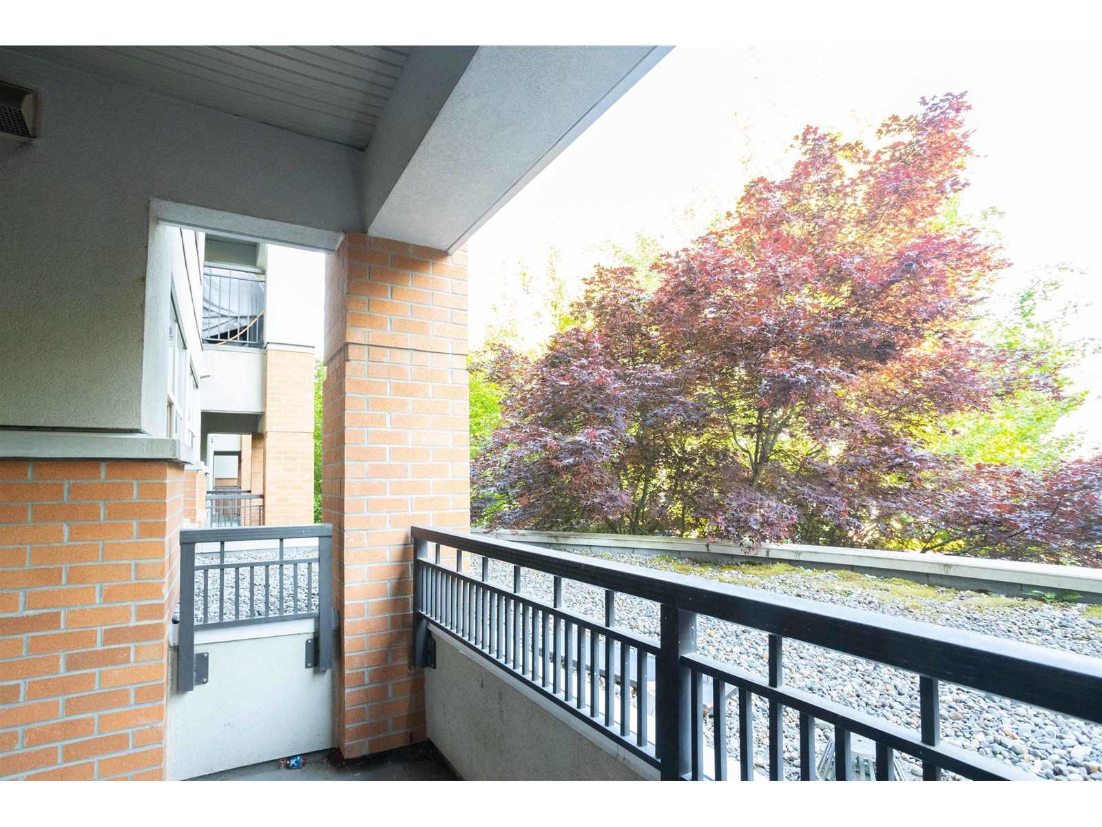 Photo 8 of 210 33545 Rainbow Avenue, Abbotsford BC