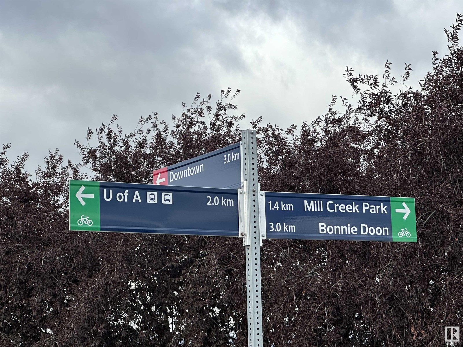 Photo 33 of 106 10125 83 Av Nw, Edmonton AB