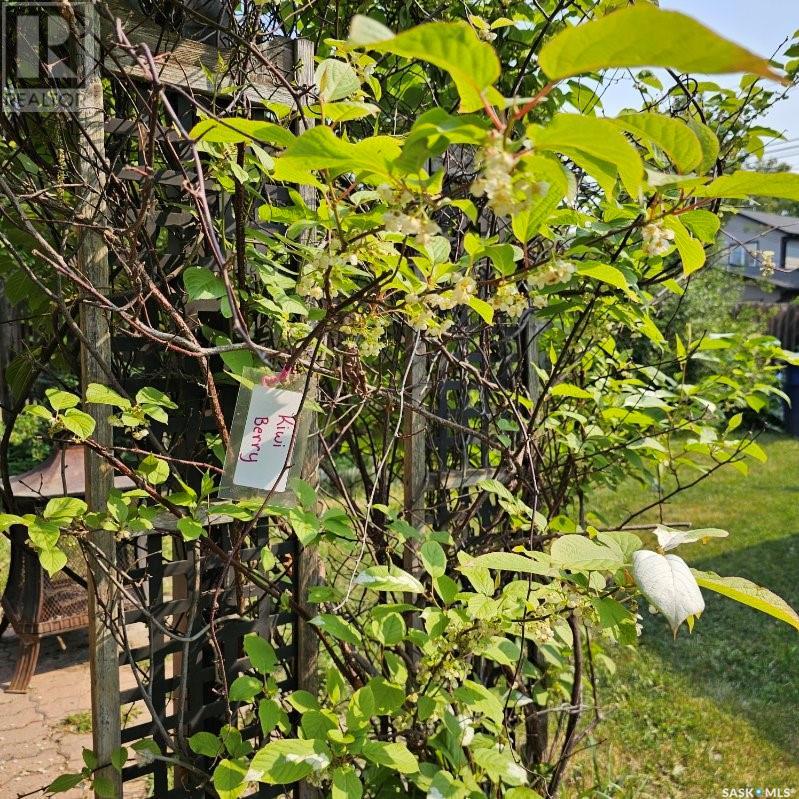 Single Family House Bungalow for Sale in  E AVENUE N Saskatoon 