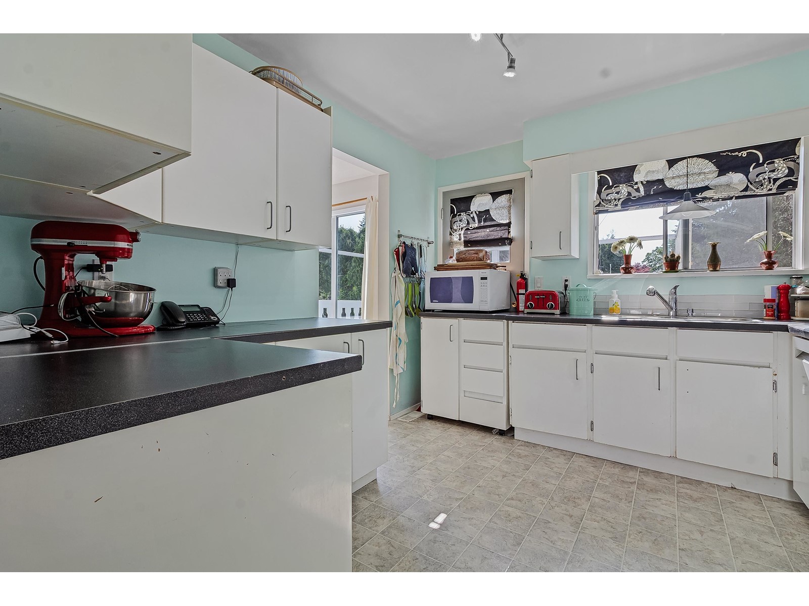 2973 265A STREET, Langley real estate listing R3011533