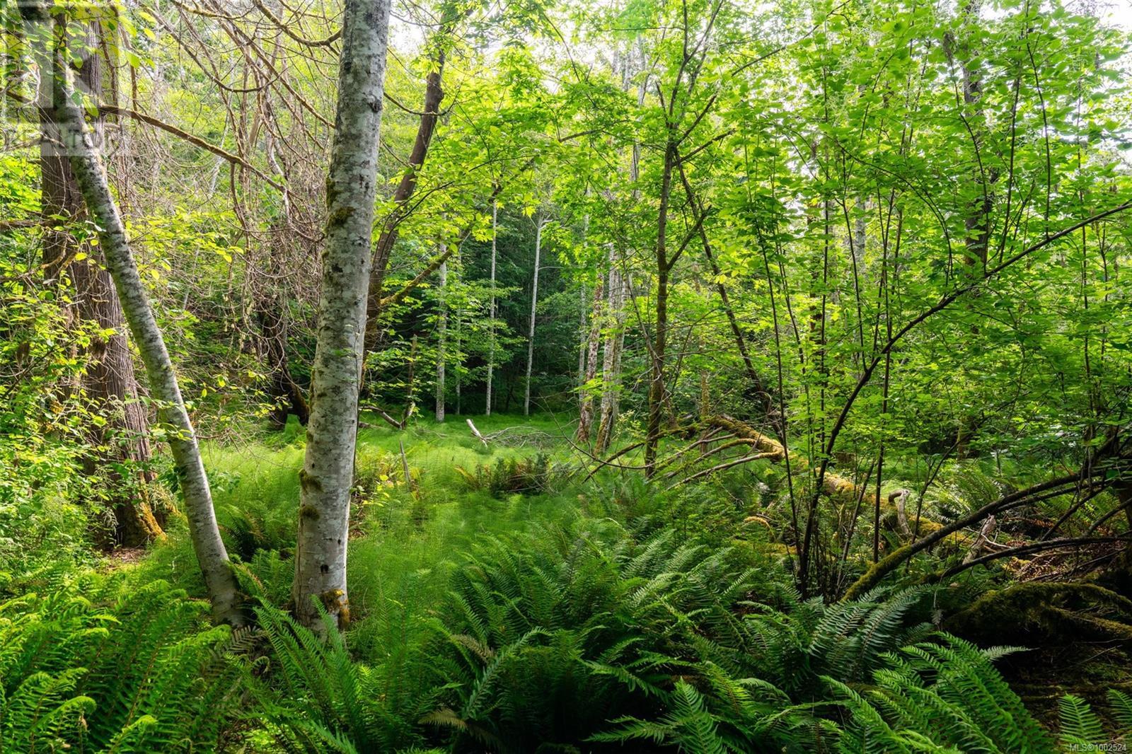  Seaspray Drive, Metchosin