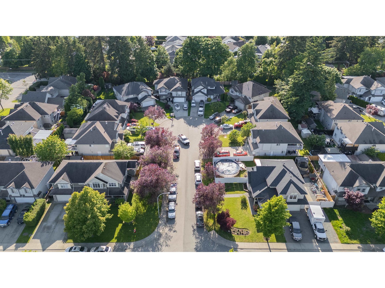 Photo 9 of 27229 27 Avenue, Langley BC