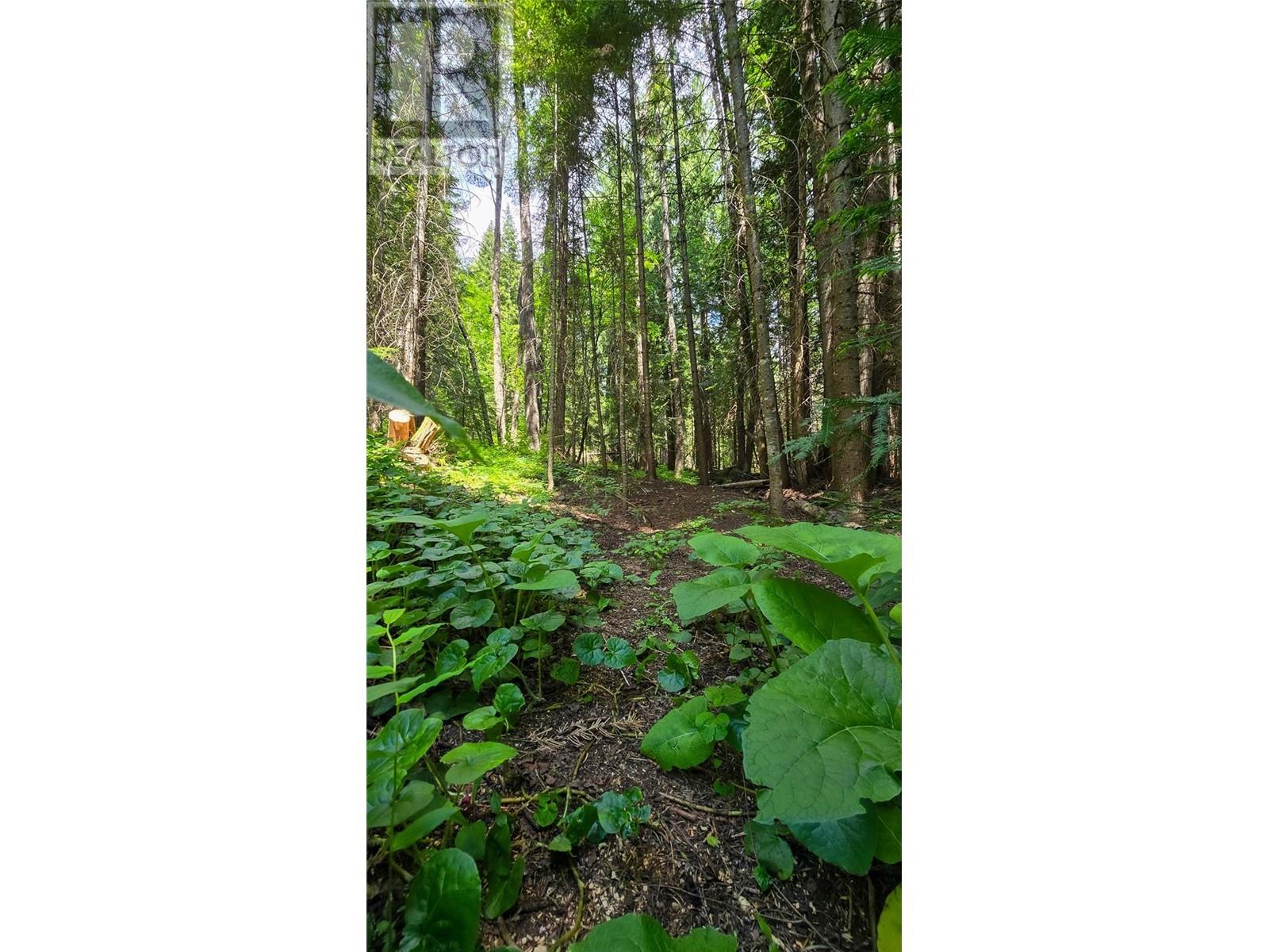 Photo 2 of 926 Wildhorse Creek Road, Ymir BC