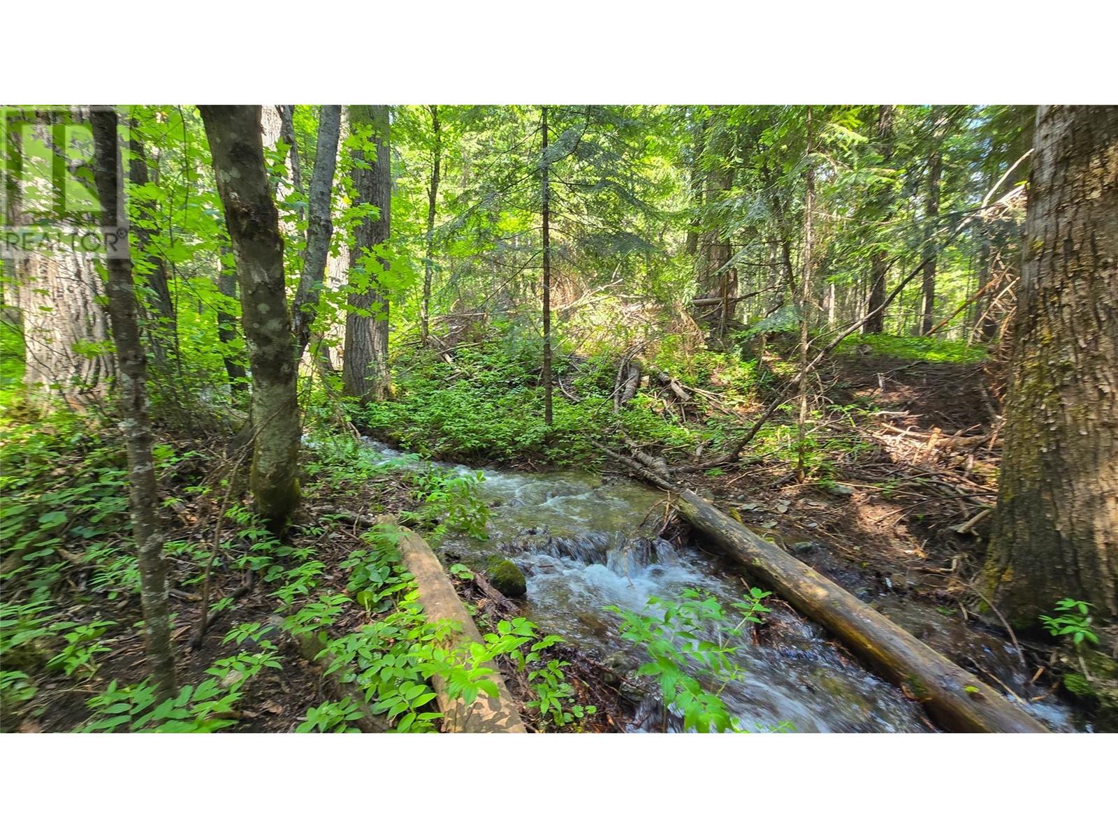 Photo 6 of 926 Wildhorse Creek Road, Ymir BC