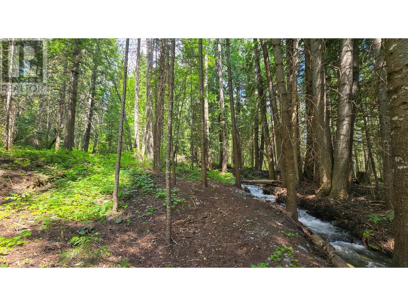 Photo 30 of 926 Wildhorse Creek Road, Ymir BC