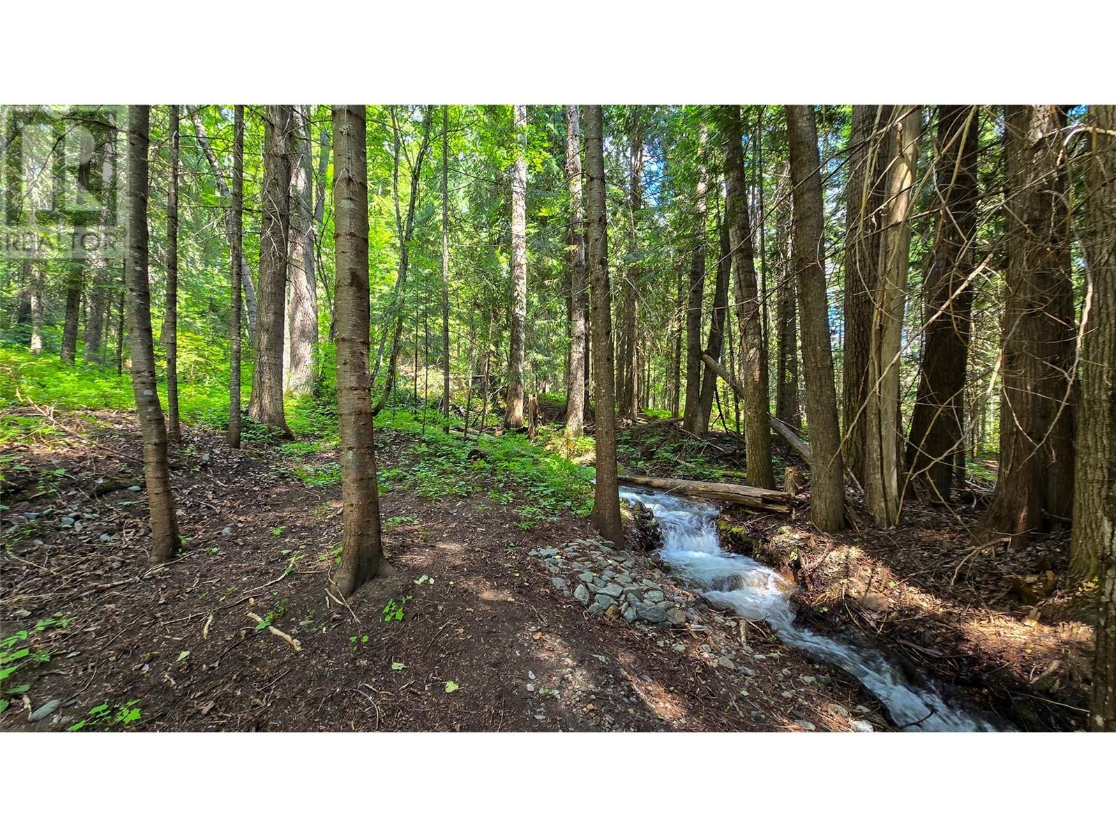 Photo 15 of 926 Wildhorse Creek Road, Ymir BC