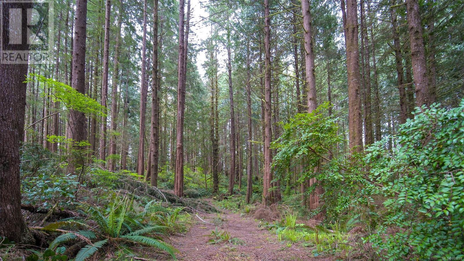 Lot E Cheeyah Island, Bamfield