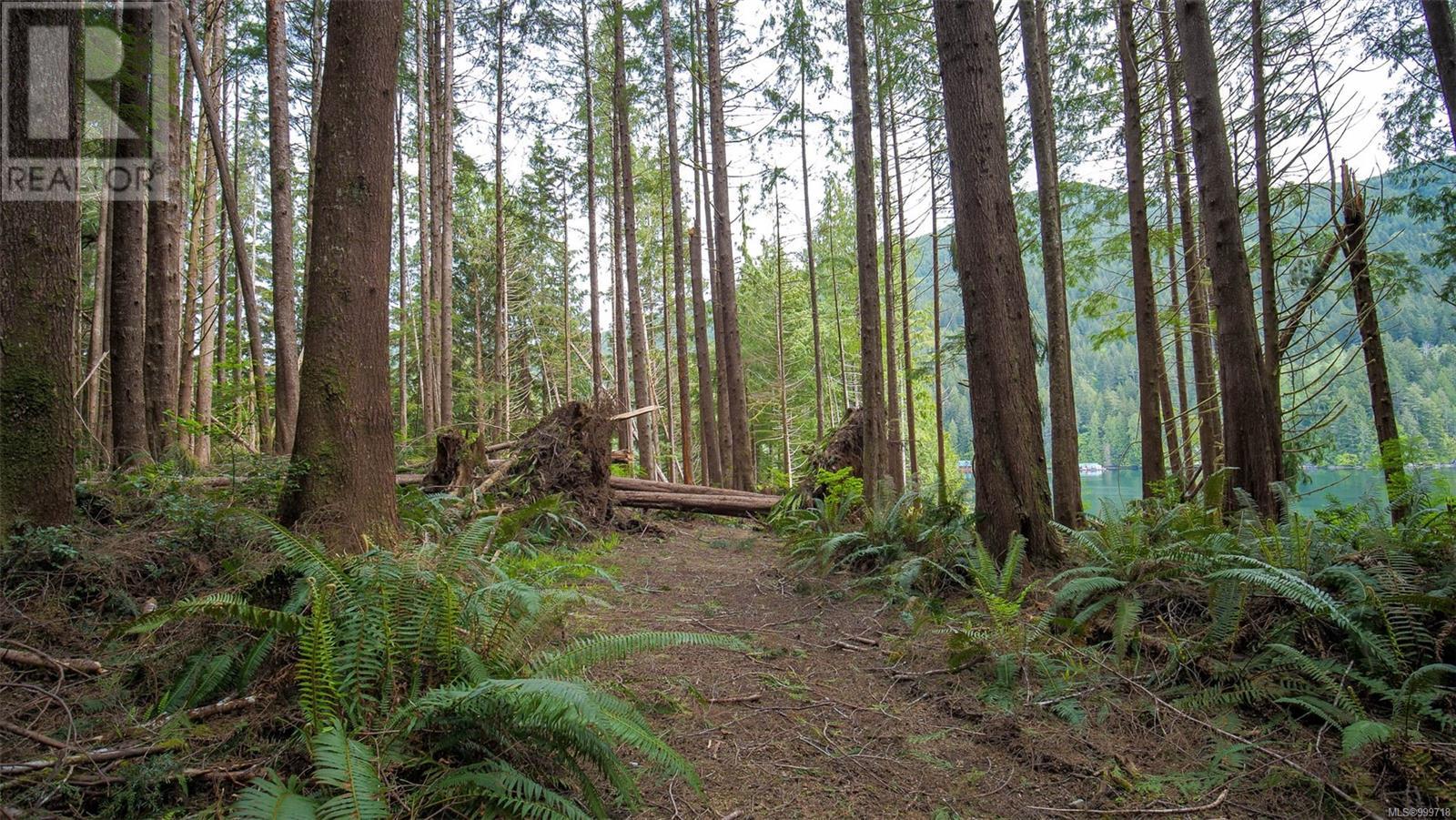Lot E Cheeyah Island, Bamfield