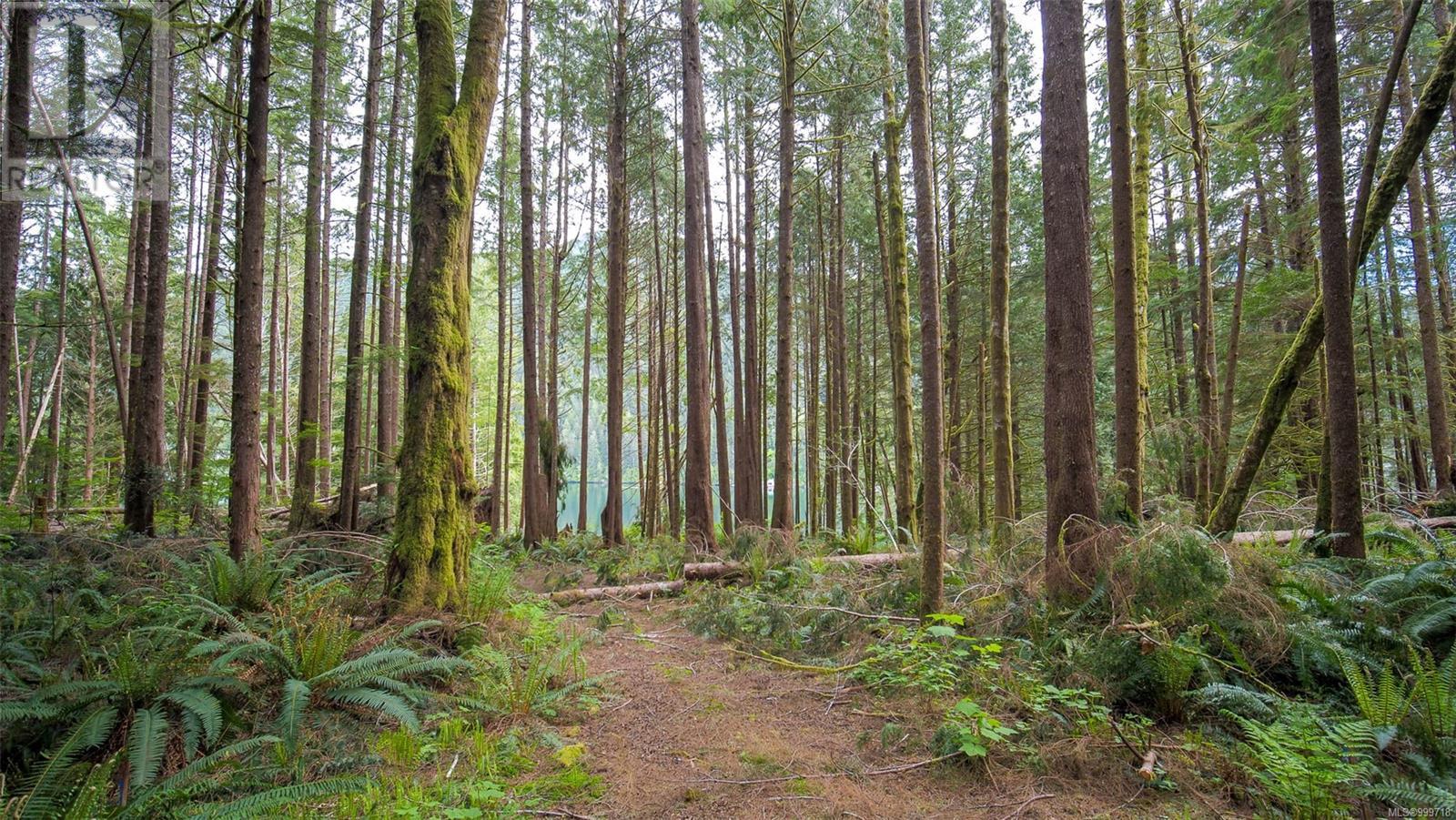 Lot E Cheeyah Island, Bamfield