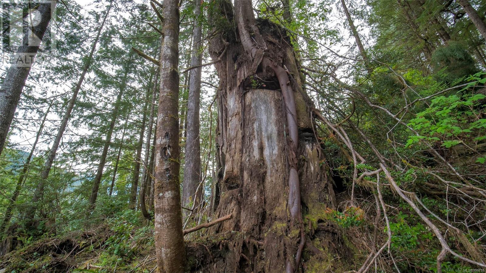 Lot E Cheeyah Island, Bamfield