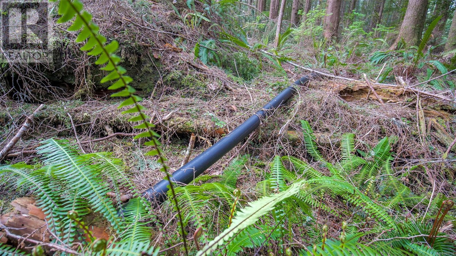 Lot E Cheeyah Island, Bamfield