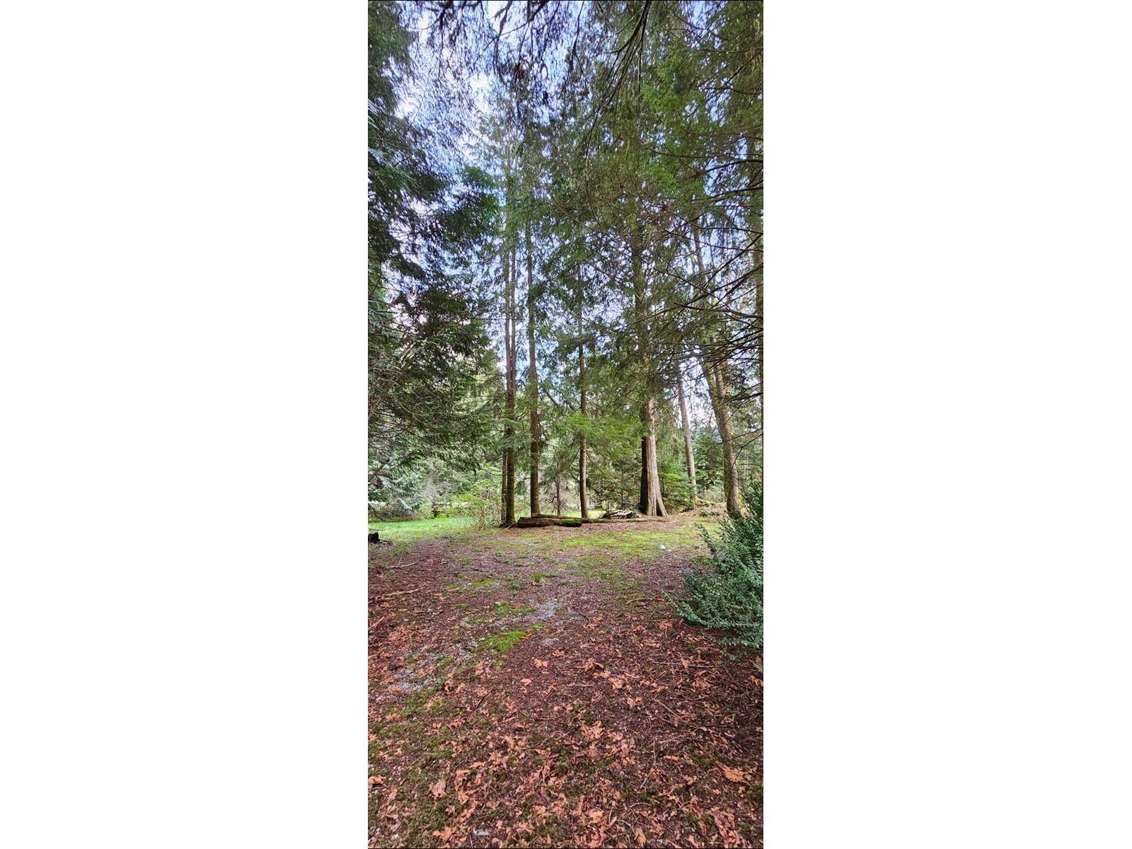 Photo 5 of 12917 Spratt Road, Mission BC