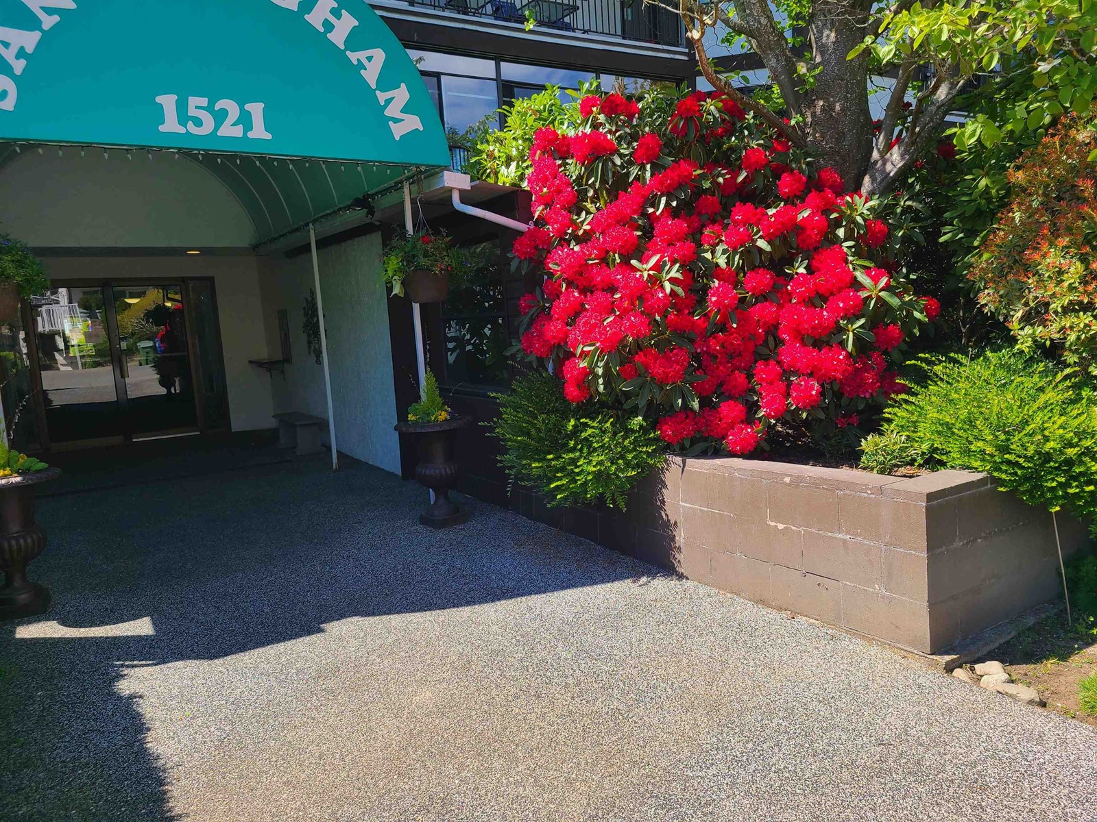 111 1521 BLACKWOOD STREET, White Rock