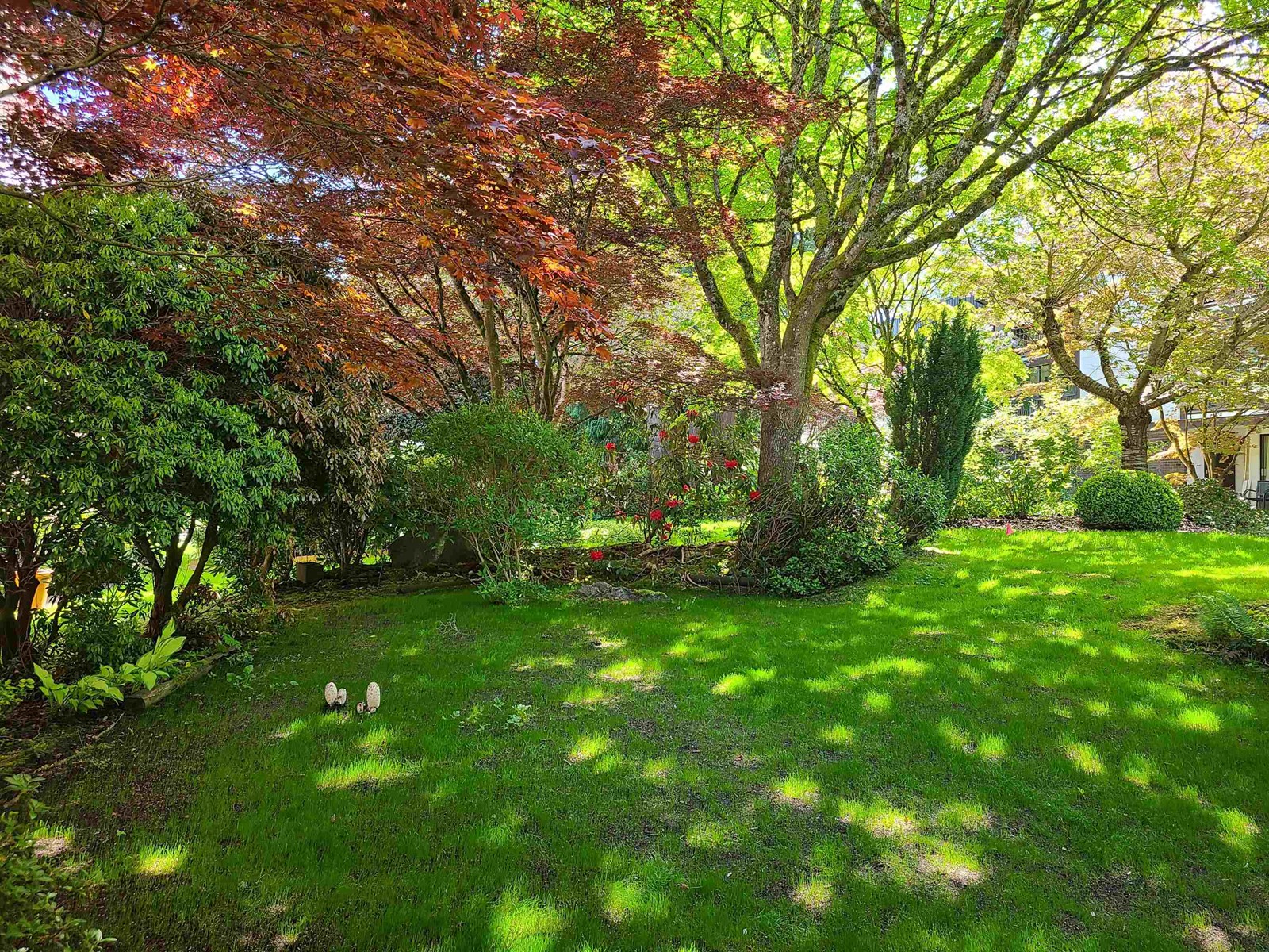 111 1521 BLACKWOOD STREET, White Rock