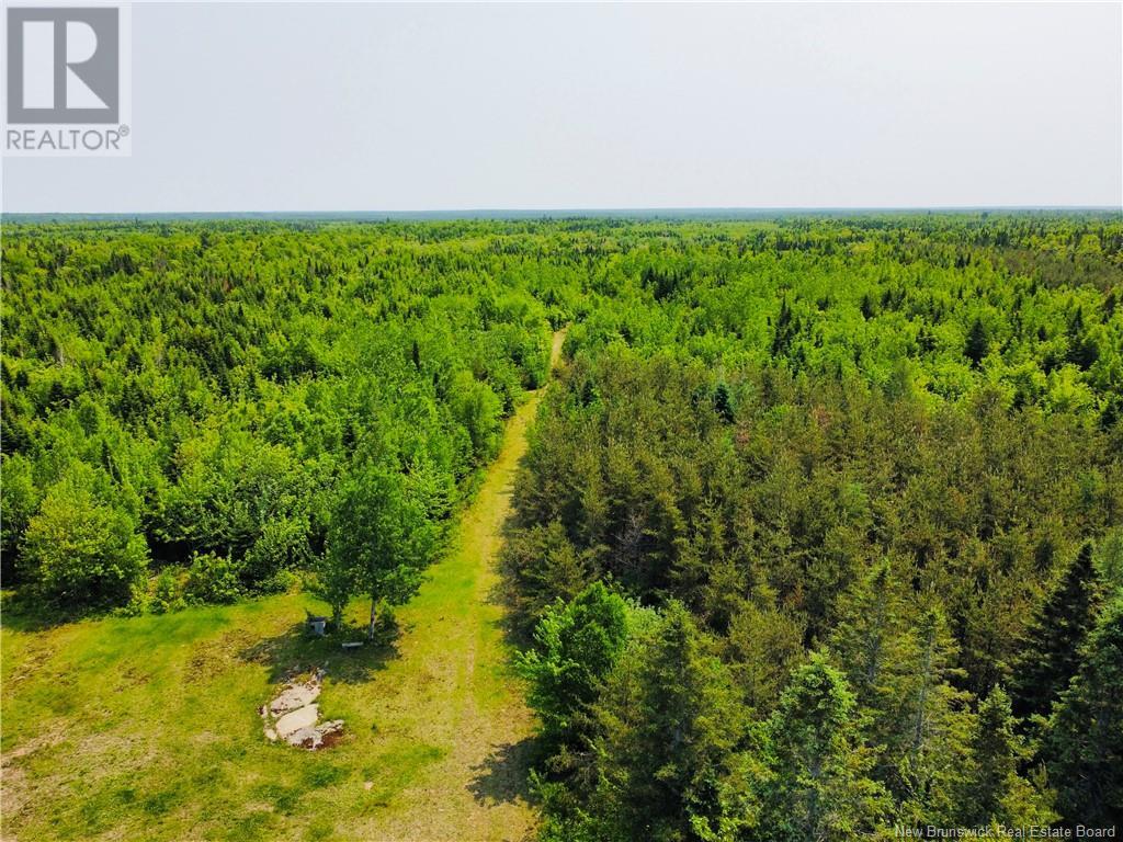 Photo 3 of 50 Chemin Duval, Petitpaquetville NB