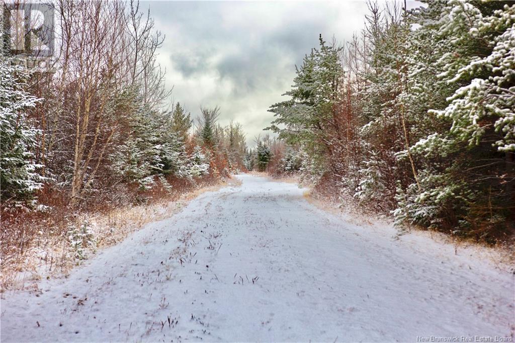 Photo 15 of 50 Chemin Duval, Petitpaquetville NB
