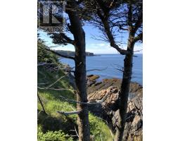 Lot 1b Pepperrell Road, Cape St Marys, NS B5A5B4 Photo 24