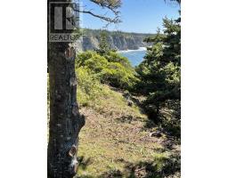 Lot 1b Pepperrell Road, Cape St Marys, NS B5A5B4 Photo 9