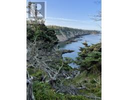 Lot 1b Pepperrell Road, Cape St Marys, NS B5A5B4 Photo 33