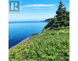 Lot 1b Pepperrell Road, Cape St Marys, NS B5A5B4 Photo 6