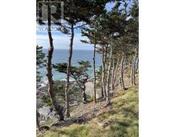 Lot 1a Pepperrell Road, Cape St Marys, NS B5A5B4 Photo 23