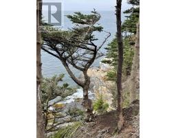 Lot 1a Pepperrell Road, Cape St Marys, NS B5A5B4 Photo 6