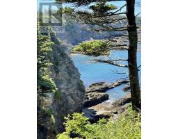 Lot 1a Pepperrell Road, Cape St Marys, NS B5A5B4 Photo 39