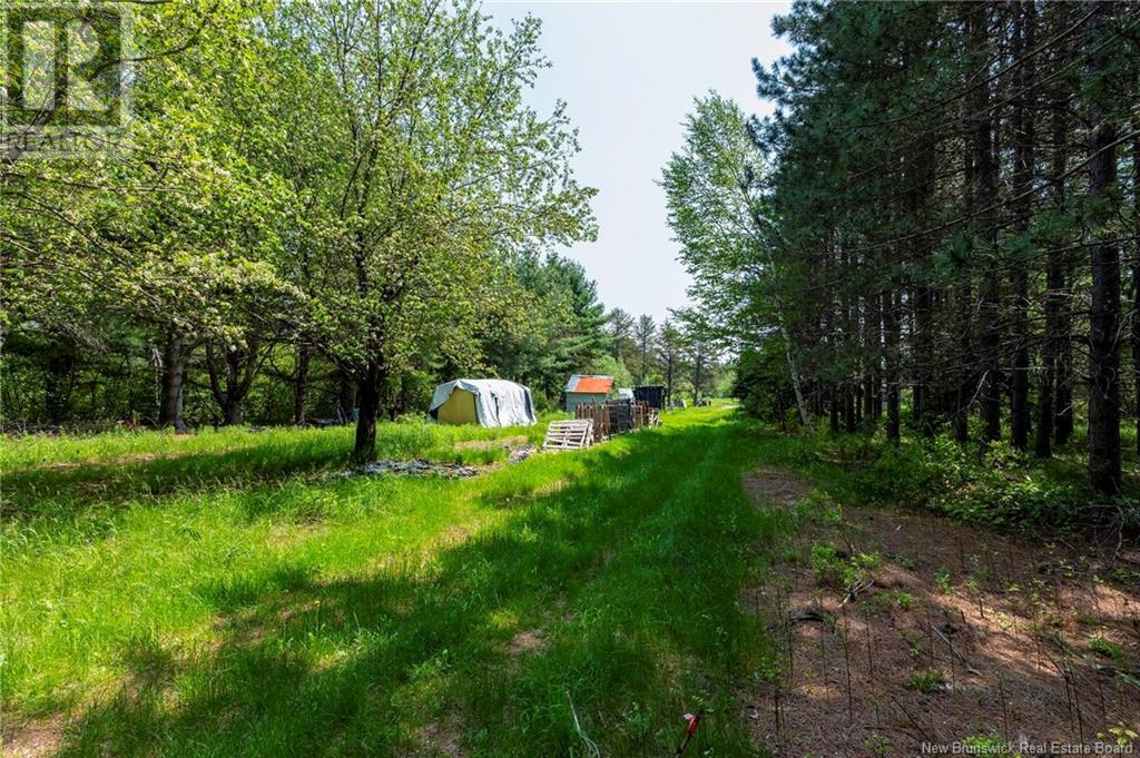 Photo 10 of 3180 Saint Charles Sud Road, Saintcharles NB