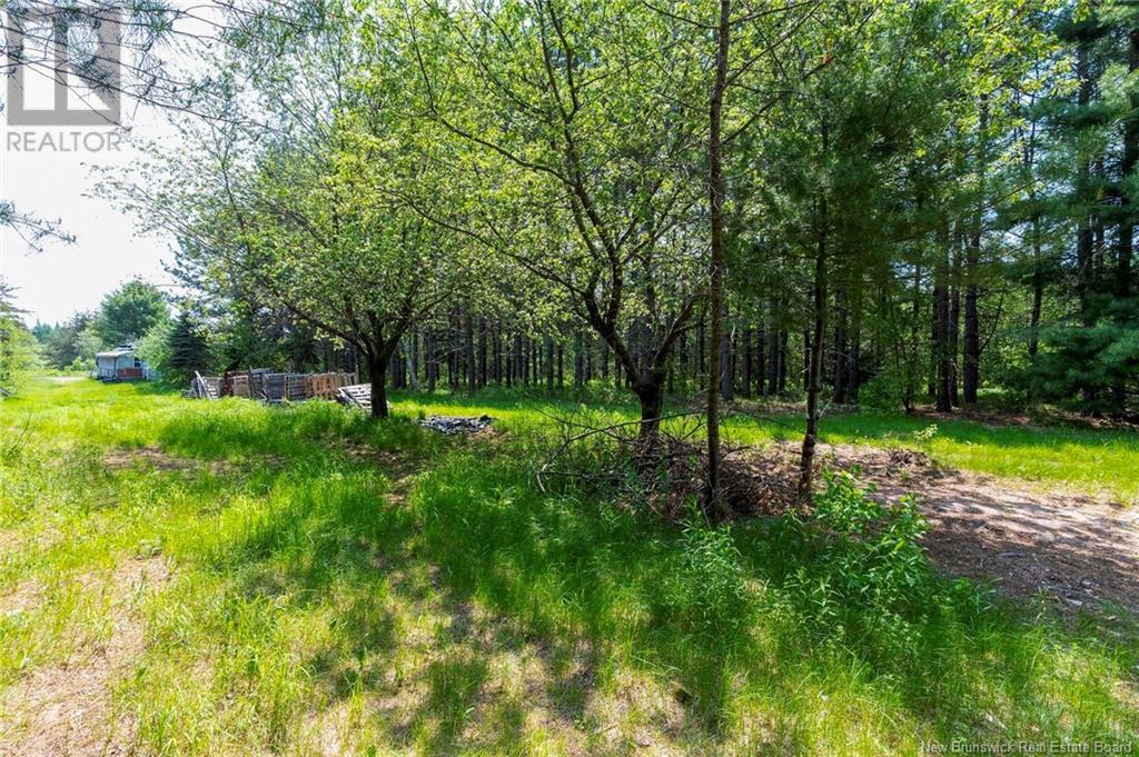 Photo 11 of 3180 Saint Charles Sud Road, Saintcharles NB