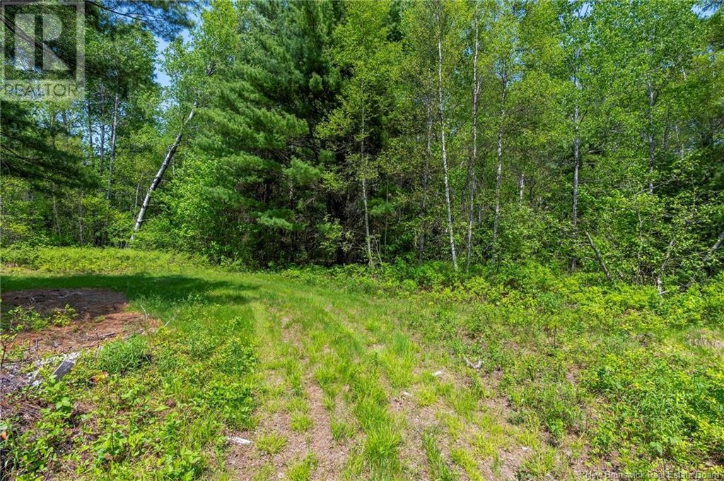 Photo 12 of 3180 Saint Charles Sud Road, Saintcharles NB