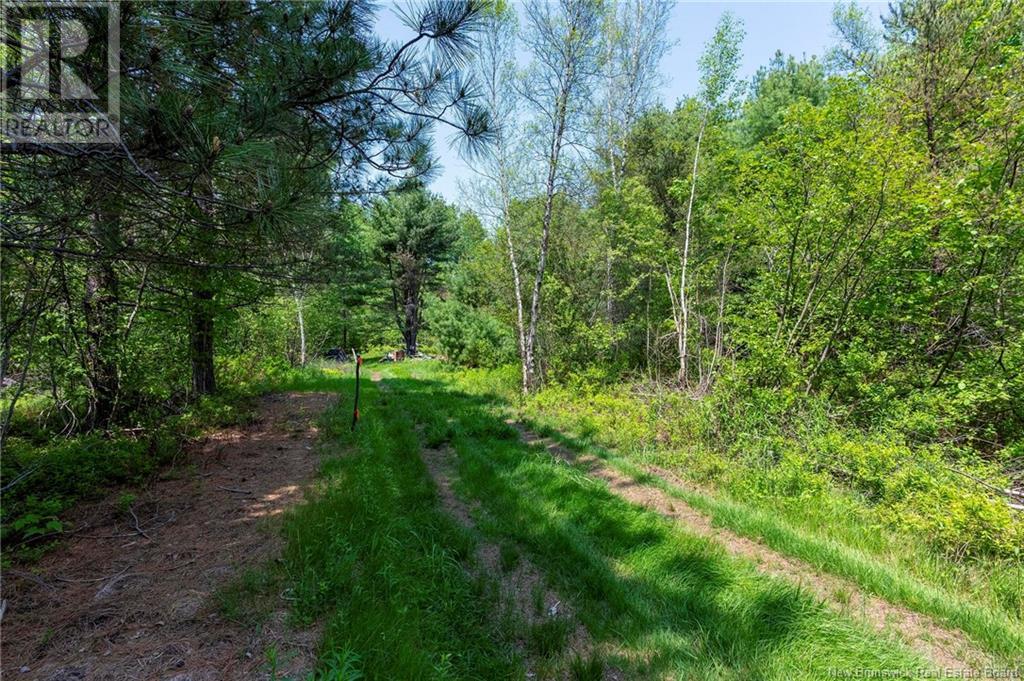 Photo 15 of 3180 Saint Charles Sud Road, Saintcharles NB