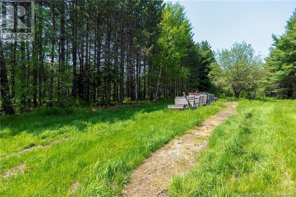 Photo 9 of 3180 Saint Charles Sud Road, Saintcharles NB