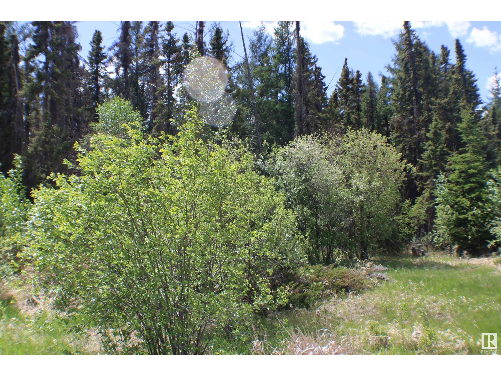 3010 Parkland DR, Rural Parkland County