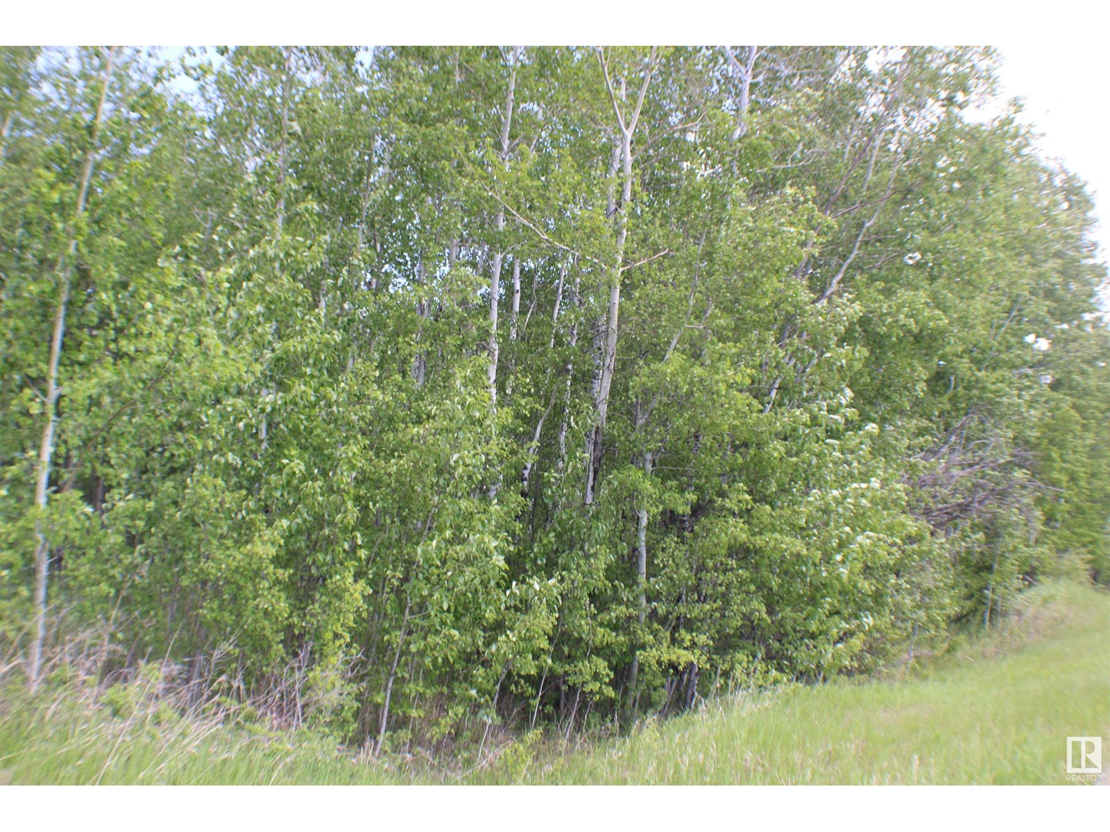 3010 Parkland DR, Rural Parkland County