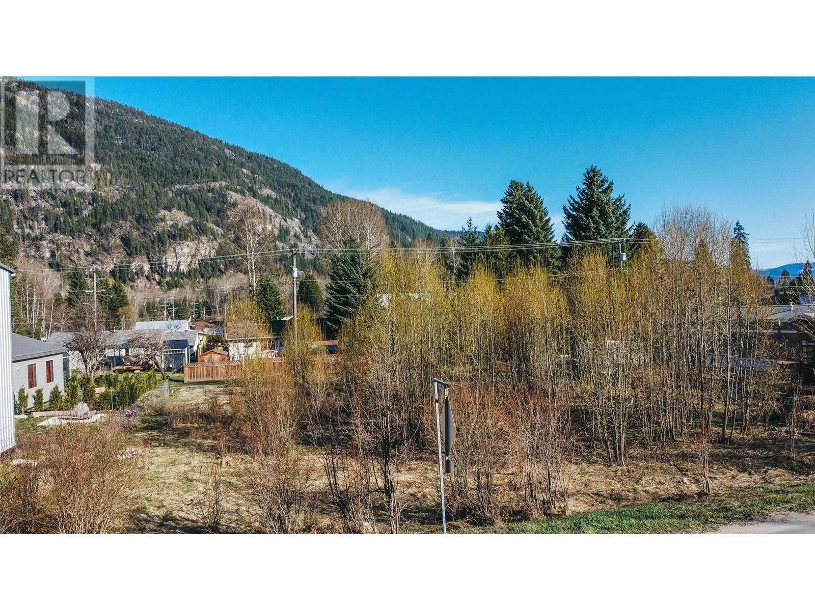 Photo 5 of Parcel F Railway Avenue, Salmo BC