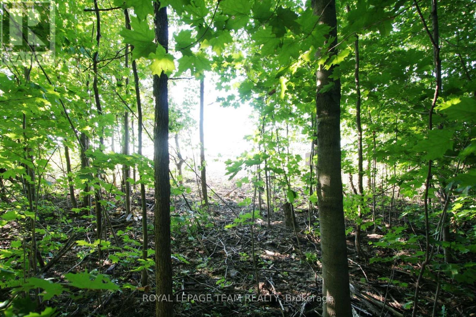 Photo 1 of Ptlt 31 Pleasant Valley Road, South Dundas ON
