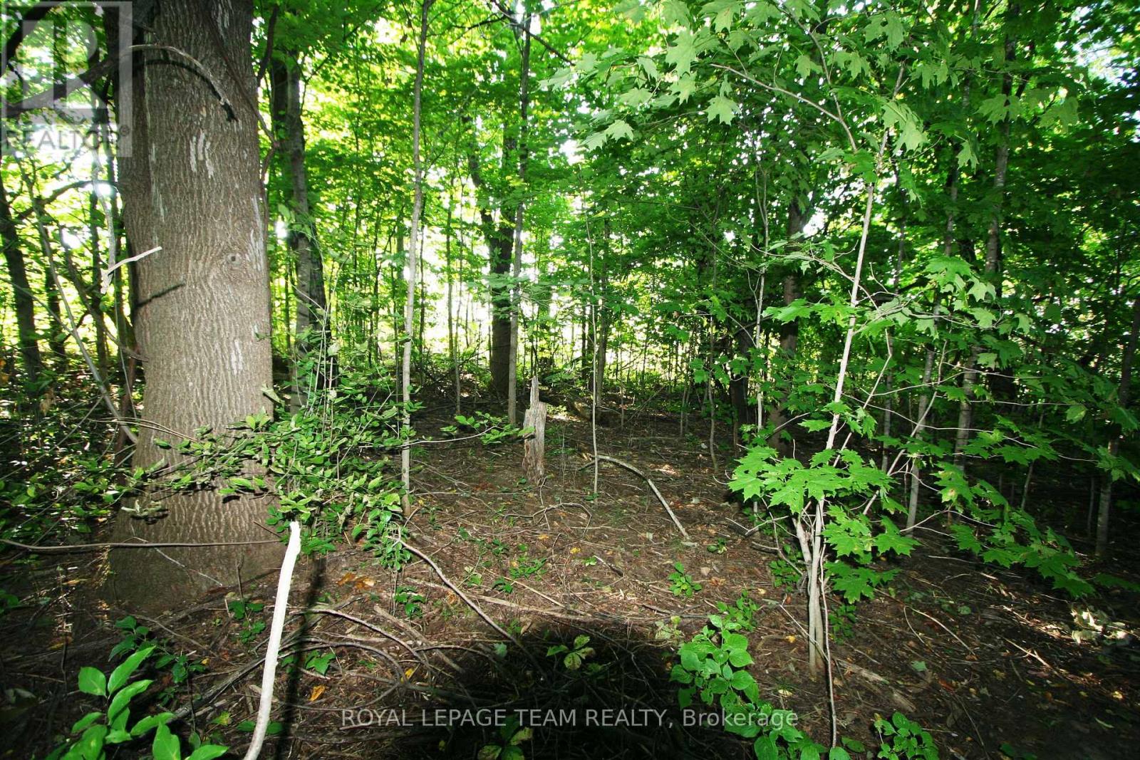 Photo 5 of Ptlt 31 Pleasant Valley Road, South Dundas ON