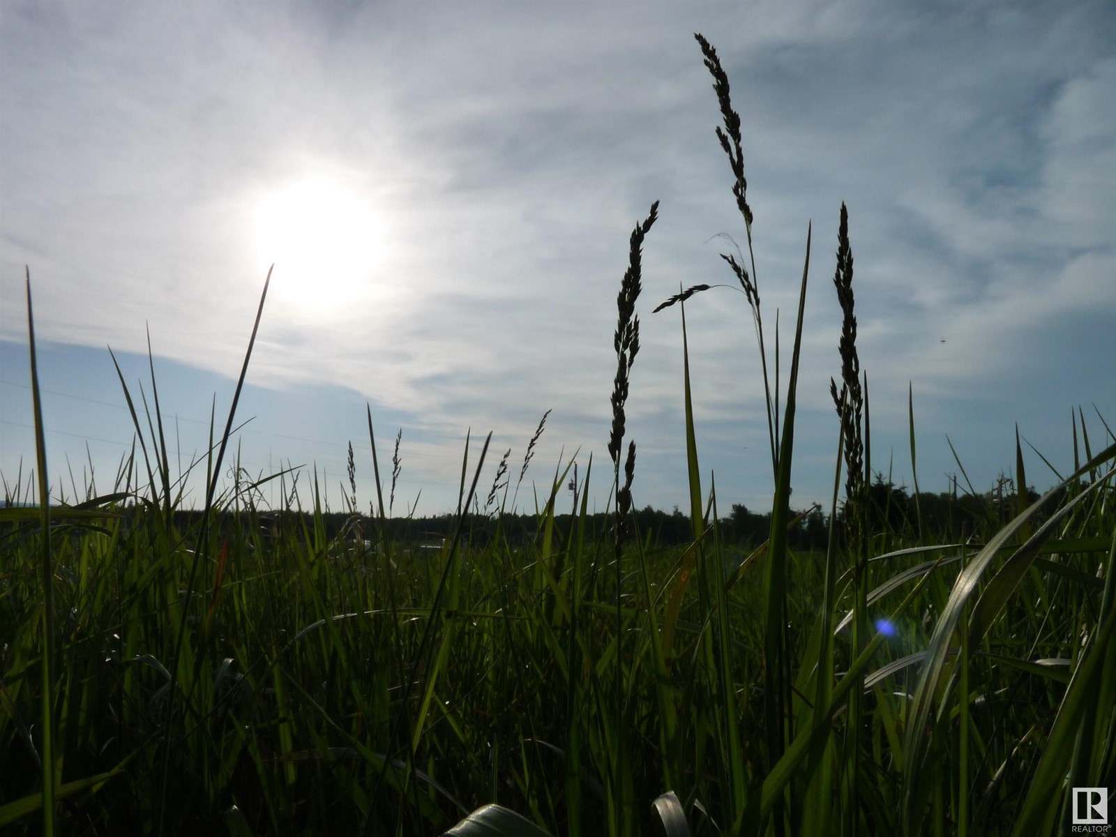 Photo 10 of 17 River Ridge Es, Rural Wetaskiwin County AB