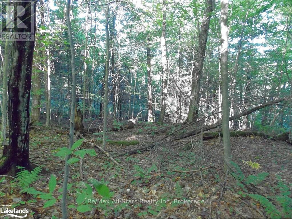 Photo 5 of 0 Angle Lake Road, Lake Of Bays ON