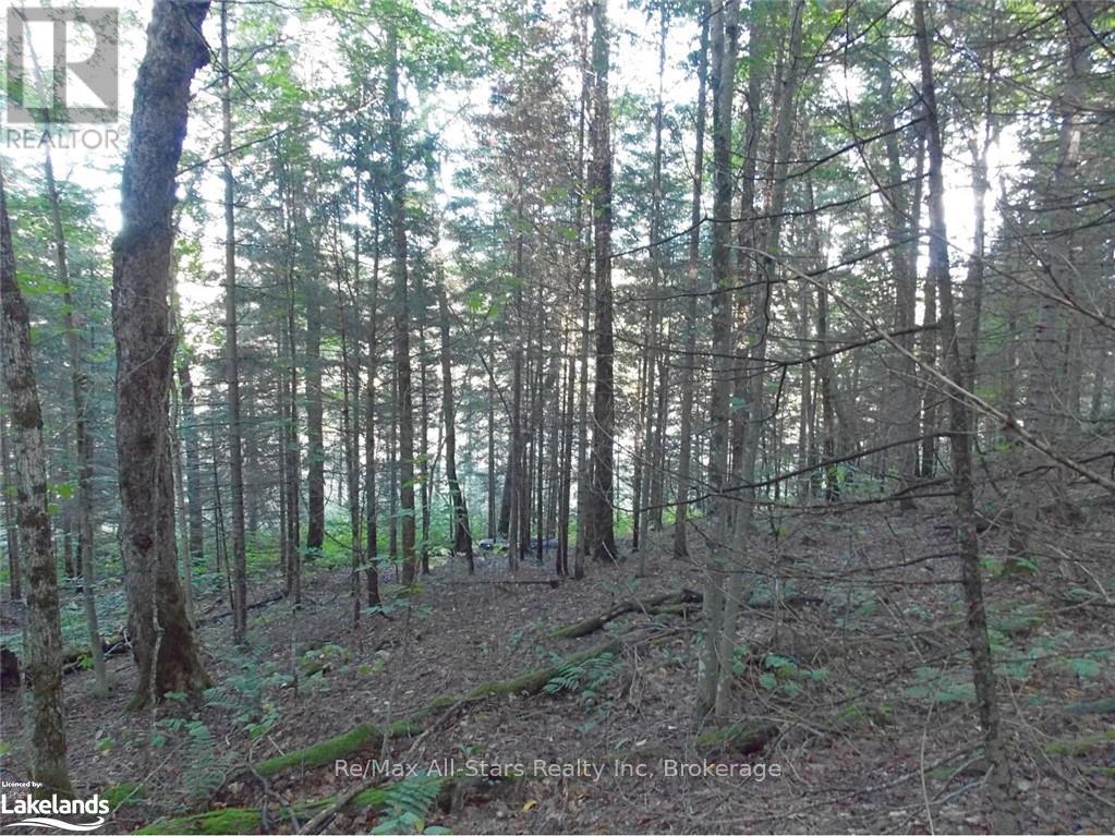 Photo 7 of 0 Angle Lake Road, Lake Of Bays ON