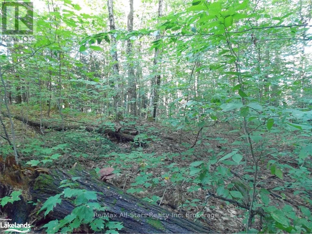 Photo 4 of 0 Angle Lake Road, Lake Of Bays ON