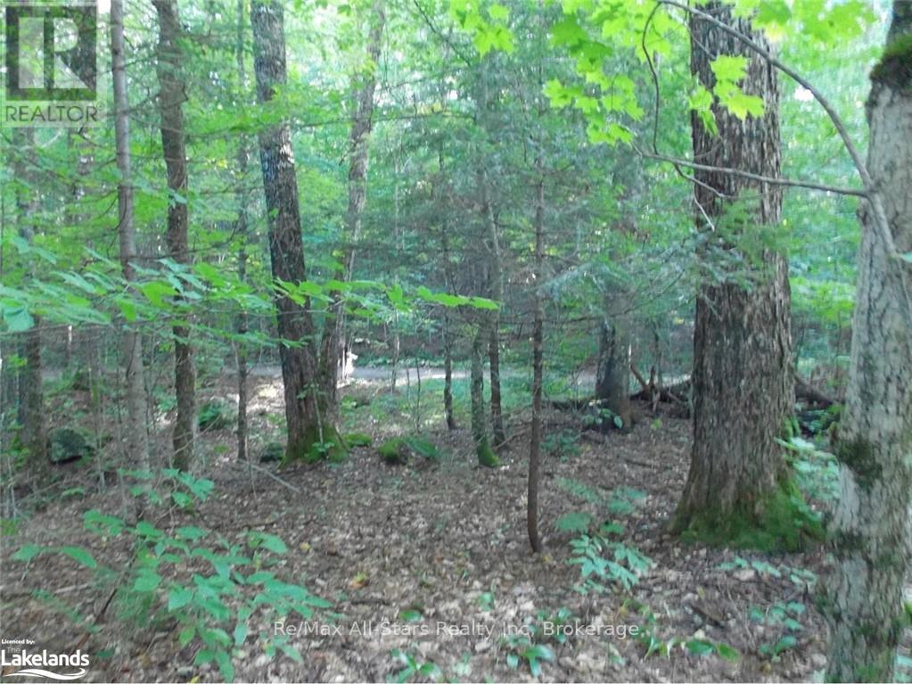 Photo 6 of 0 Angle Lake Road, Lake Of Bays ON