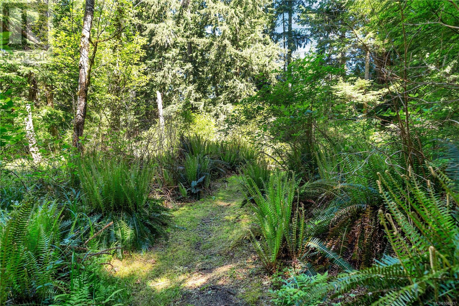 620 Valpy Rd, Quadra Island